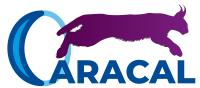 caracal-logo-200px.png