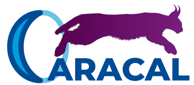 caracal-logo-400px.png